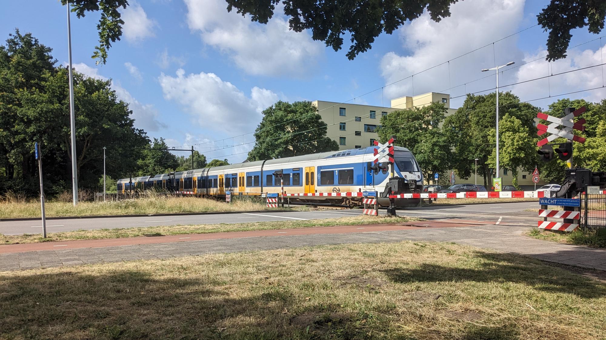 Picture of Sprinter train on a level crossing with barriers fully lowered.