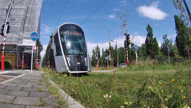 Luxembourg CAF Urbos 100 tram seen through grass.